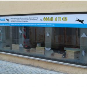 Fuerst 8