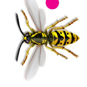 Illustrationen 73 11